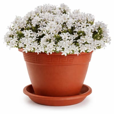 Plasticforte plantenpot met opvang schaal - terracotta - rond - D30 x H23 cm - kunststof - buiten - tuin - bloempot