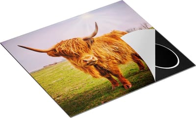 Chefcare Inductie Beschermer Bruine Schotse Hooglander Koe - Kleur - 60x50 cm - Afdekplaat Inductie - Kookplaat Beschermer - Inductie Mat