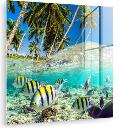MuchoWow® Glasschilderij 50x50 cm - Schilderij acrylglas - Zee - Vissen - Koraal - Foto op glas - Muurdecoratie woonkamer - Wanddecoratie slaapkamer - Schilderijen