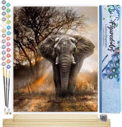 Figured'Art Schilderen op Nummer Volwassenen canvas Eenzame Olifant - Handwerk acrylverf Kit DIY Compleet - 40x50cm met DIY houten lijst