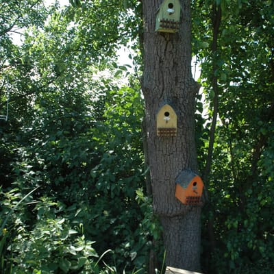 Landelijke nestkast - Vogelhuisje - Nestkastje - Vogel Huis - Landelijke nestkast geel/oranje - Vogelhuisjes - Nestkasten / vogelhuisjes - Nesten