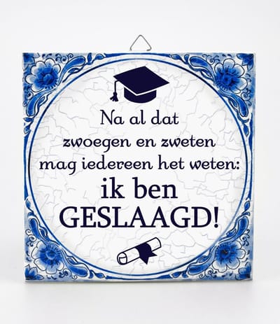 Tegels delfts blauw - Geslaagd school