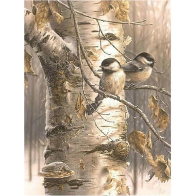 5D Diy Daimond Schilderen kruissteek  natuur Vogel  Diamant schilderij Volledige boor Ronde Steentjes 20X30CM