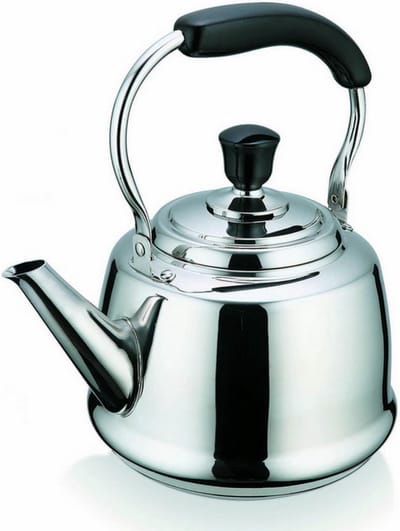 BEKA 12028454 Bouilloire, Acier Inoxydable, INOX, 27 x 25 x 19 cm