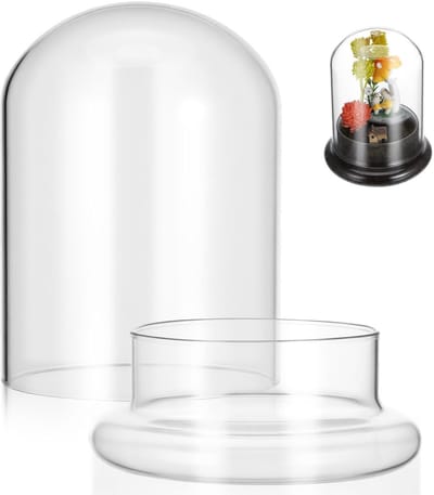 Glazen koepel planten terrarium met sokkel verticale glazen pot voor vetplanten en mos decoratieve micro-landschapsbak voor kantoor en terras 12 x 16 cm