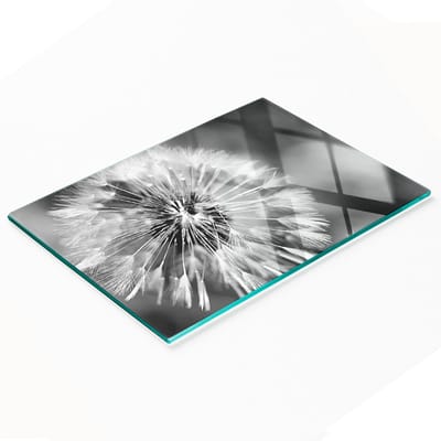 Multifunctioneel decoratief glazen keukenbord met paardenbloemmotief, 80x52 cm