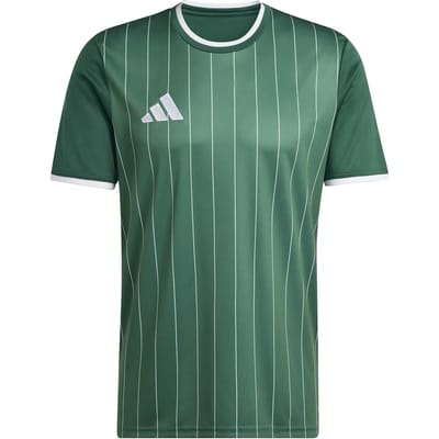 Adidas Entrada 26 Graphic T-shirt Met Korte Mouwen Groen M / Regular Man