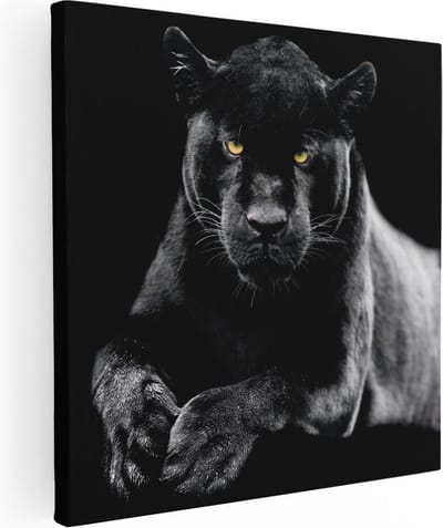 Artaza Canvas Schilderij Panter - 30x30 cm - Klein - Wanddecoratie Wilde Dieren - Muurdecoratie Woonkamer - Kamer Accessoires