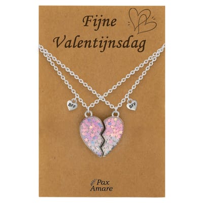 Koppel Ketting voor 2 'Fijne Valentijnsdag' - Magnetisch Hartje - Vriendschapsketting op Cadeau Kaartje - 45cm + 5cm verstelbaar - Zilverkleurig - BFF Hanger - Pax Amare