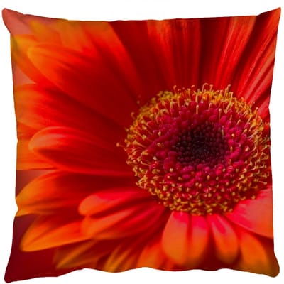 Sierkussens - Kussentjes Woonkamer - 50x50 cm - Oranje - Gerbera - Intens