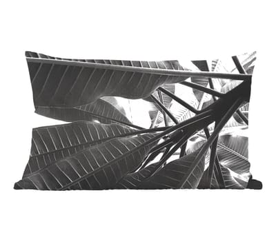 Sierkussens - Kussentjes Woonkamer - 50x30 cm - Palmbladeren - Tropisch - Blad