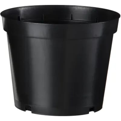 Nature Container Zwart - Kweekbenodigdheden - 13.2x13.2x10.2 cm 6 stuks
