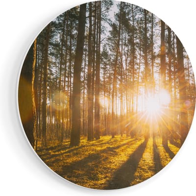 Artaza Forex Muurcirkel Zonsopkomst In Het Bos Tussen De Bomen - 80x80 cm - Groot - Wandcirkel - Rond Schilderij - Wanddecoratie Cirkel