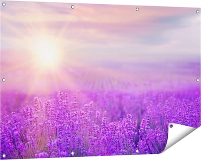Gards Tuinposter Bloemenveld met Paarse Lavendel - 120x80 cm - Tuindoek - Tuindecoratie - Wanddecoratie buiten - Tuinschilderij