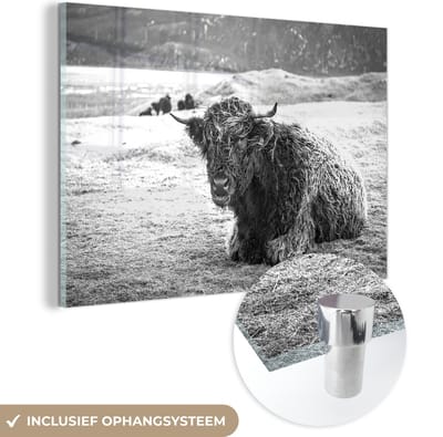MuchoWow® Glasschilderij 120x80 cm - Schilderij acrylglas - Schotse Hooglander - Berg - Dieren - Foto op glas - Schilderijen