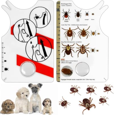 Famanu - Tekenpincet, 2 stuks, met vergrotingslens, tekenverwijderaar voor mensen, kinderen, honden en katten, snelle en veilige verwijdering van teken