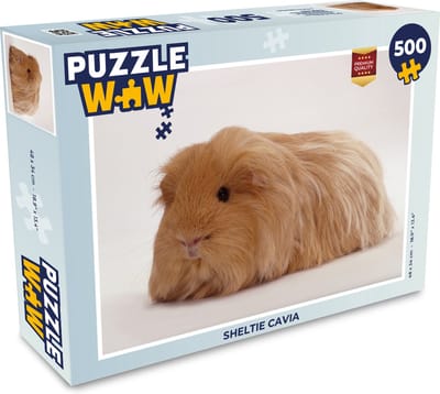 Puzzel Sheltie cavia - Legpuzzel - Puzzel 500 stukjes