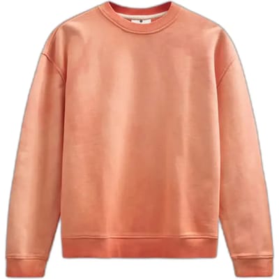 Sweatshirt Anerkjendt Toni Washed