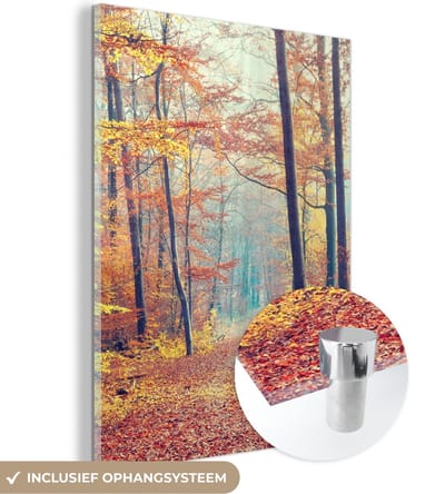 MuchoWow® Glasschilderij 30x40 cm - Schilderij acrylglas - Bos - Herfst - Bladeren - Foto op glas - Schilderijen