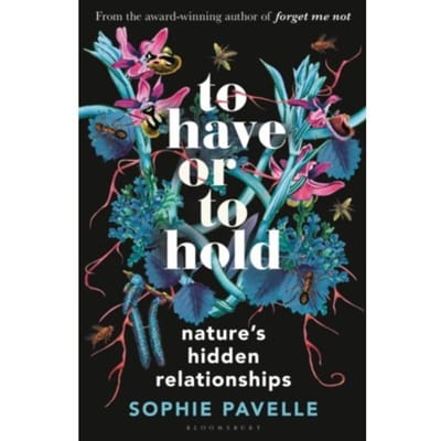 To Have Or To Hold - Sophie Pavelle