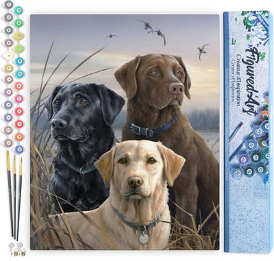 Figured'Art Schilderen op Nummer Volwassenen canvas Drie Labradors - Handwerk acrylverf Kit DIY Compleet - 40x50cm zonder frame