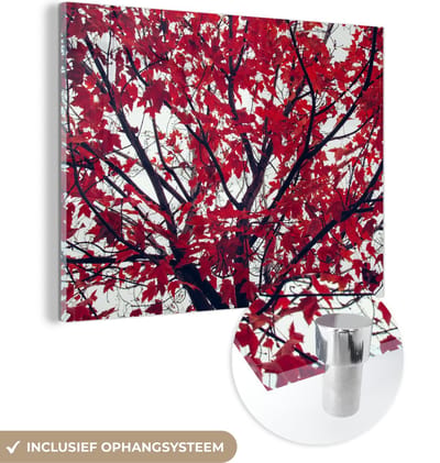 MuchoWow® Glasschilderij 40x30 cm - Schilderij acrylglas - Esdoorn - Bladeren - Herfst - Natuur - Foto op glas - Schilderijen
