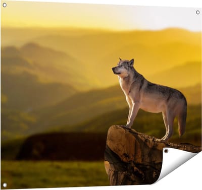 Gards Tuinposter Wolf op een Rots met een Heuvel Landschap - 100x80 cm - Tuindoek - Tuindecoratie - Wanddecoratie buiten - Tuinschilderij