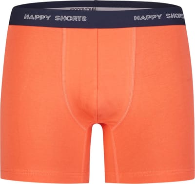 Happy Shorts Retro Boxer Classic