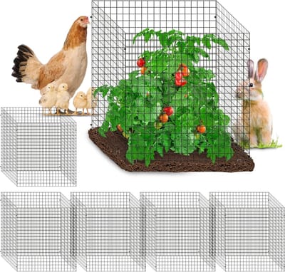 Plantenkooien Set - Beschermers Tuin - Bescherming Zaailingen - Modulair Ontwerp - 24 Stuks - Metaal