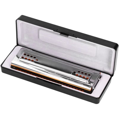 Tremolo Mondharmonica 24 Gaten C&G Toon Dubbelzijdig met Doos Muziekinstrument voor Beginner gray