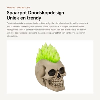 Dailygoods- Spaarpot Doodskopdesign - Spaarpot Volwassenen - Spaarpot Kluis - Opbergmogelijkheid - Hoogwaardig Polyhars - Veilig Slot - Spaarvarken