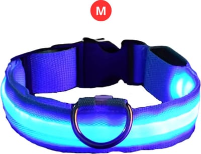 Nivard Lichtgevende Halsband - Verlichte Halsband - Lichtgevend - Hond - Kat - Lampje - Hondenhalsband Led - Nekband - Blauw M