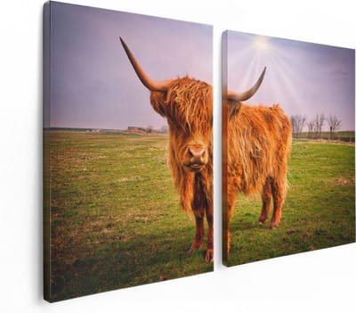 Artaza Canvas Schilderij Tweeluik Bruine Schotse Hooglander Koe - Kleur - 120x80 - Foto Op Canvas - Canvas Print