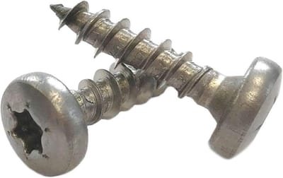 Panhead Schroeven - Halfronde Kop - Houtverbindingen Maken - Volledige Schroefdraad - 5x20 mm 500 St. - Roestvrij Staal