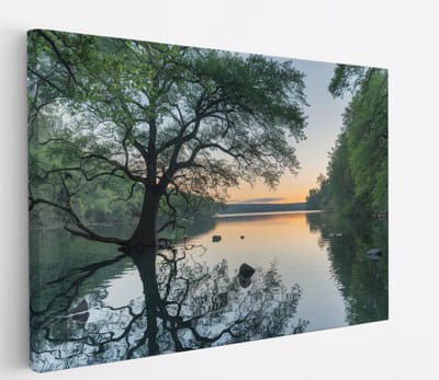 Saammp Canvas Schilderij - Boom in het water met zonsondergang - Landschap - Natuur - 45x30 - Foto op canvas - Wanddecoratie - Muurdecoratie Woonkamer - Slaapkamer decoratie - Canvas Print