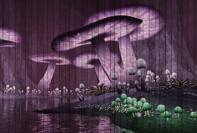 Fotobehang fantasy 2 DD113952 Livingwalls Walls by Patel | Fotobehang online webshop