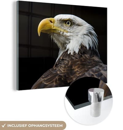 MuchoWow® Glasschilderij 160x120 cm - Schilderij acrylglas - Adelaar - Vogel - Ogen - Snavel - Foto op glas - Schilderijen