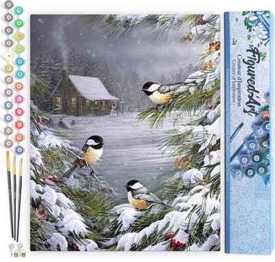Figured'Art Schilderen op Nummer Volwassenen canvas Drie vogels in de sneeuw - Handwerk acrylverf Kit DIY Compleet - 40x50cm zonder frame