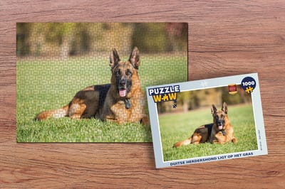 Puzzel Duitse herdershond ligt op het gras - Legpuzzel - Puzzel 1000 stukjes volwassenen