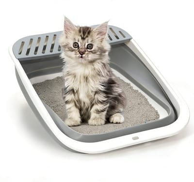 Daity Opvouwbare kattenbak - in hoogte verstelbaar - spatwaterdichte open kattenbak - gemakkelijk schoon te maken (grijs - 45*34*12 - 5 cm)