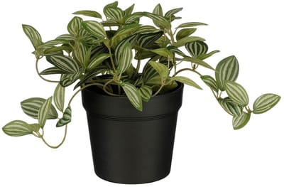 Kunstplant mica tradescantia in pot 16x16cm | 6 stuks