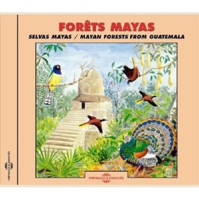 Eloisa Matheu, Jean C. Roché - Mayan Forests - Soundscapes From Guatemala (CD)