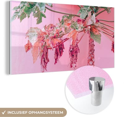 MuchoWow® Glasschilderij 40x20 cm - Schilderij acrylglas - Palmboom - Tropisch - Roze - Zomer - Foto op glas - Schilderijen