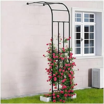 Rozenboog Metaal - Tuinboog Klimplant - Decoratie Tuin - PE-Coating Verzinkt Staal - 240x200x50cm - Zwart
