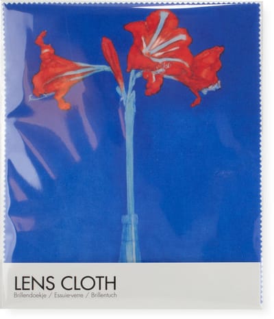 Brillendoekje Microfiber – Mondriaan Amaryllis 15x18 cm – museumwebshop.com