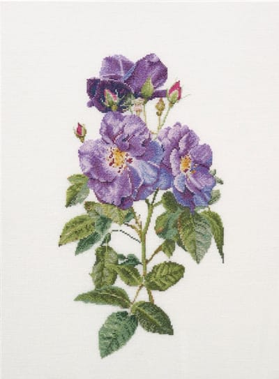 Thea Gouverneur - Borduurpakket met telpatroon - 413A - Voorgesorteerde DMC Garens - Blauwe in Rozen Rapsodie - Aida - 44 cm x 32 cm - DIY Kit