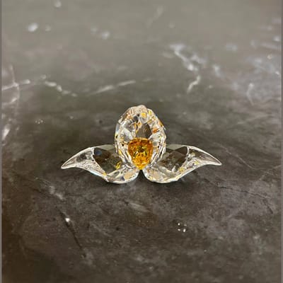 Swarovski beeldjes SCS gift African Orchid 5301553 | Swarovski cadeau beeldje met African Orchid, artikelnummer 5301553