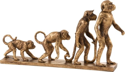 Aap Evolutie Poly Antiek Goud