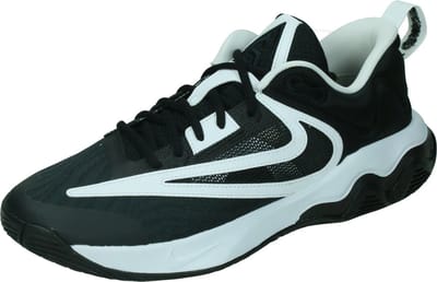 Nike Giannis Immortality 3 Sportschoenen Mannen - Maat 46