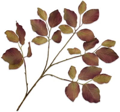 Silk-ka Kunstbloem-Zijden Bloem-Kunsttak Bladtak Groen-Bruin 78 cm